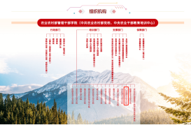中央农业干部教育培训中心组织机构